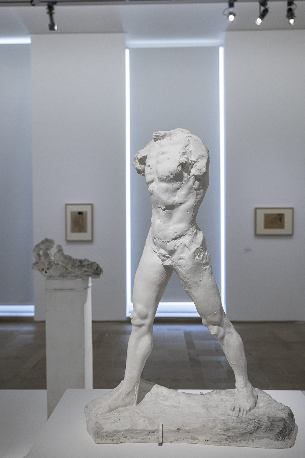 Изложбата Пикасо-Роден в музея Пикасо, Париж