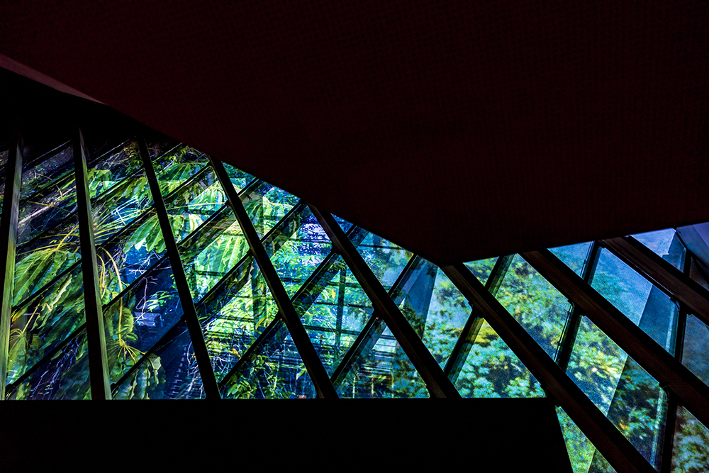 Музей Ке Бранли - Жак Ширак