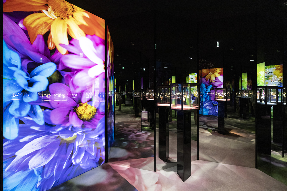 Изложбата FLORAE на Van Cleef & Arpels и Мика Нинагава, Париж 2021