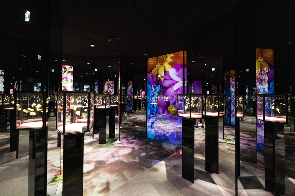 Изложбата FLORAE на Van Cleef & Arpels и Мика Нинагава, Париж 2021