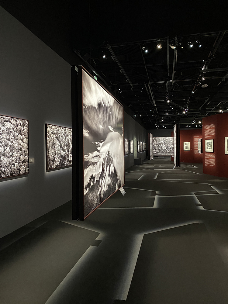 Изложбатаа Амазония на Себастиао Салгадо