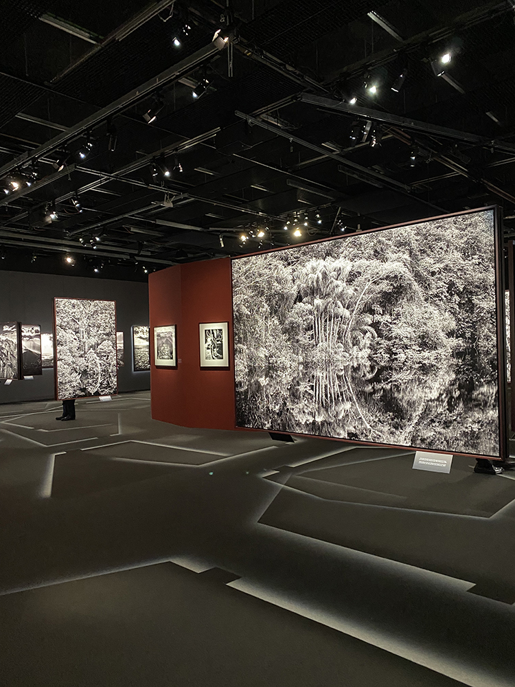 Изложбата Амазония на Себастиао Салгадо