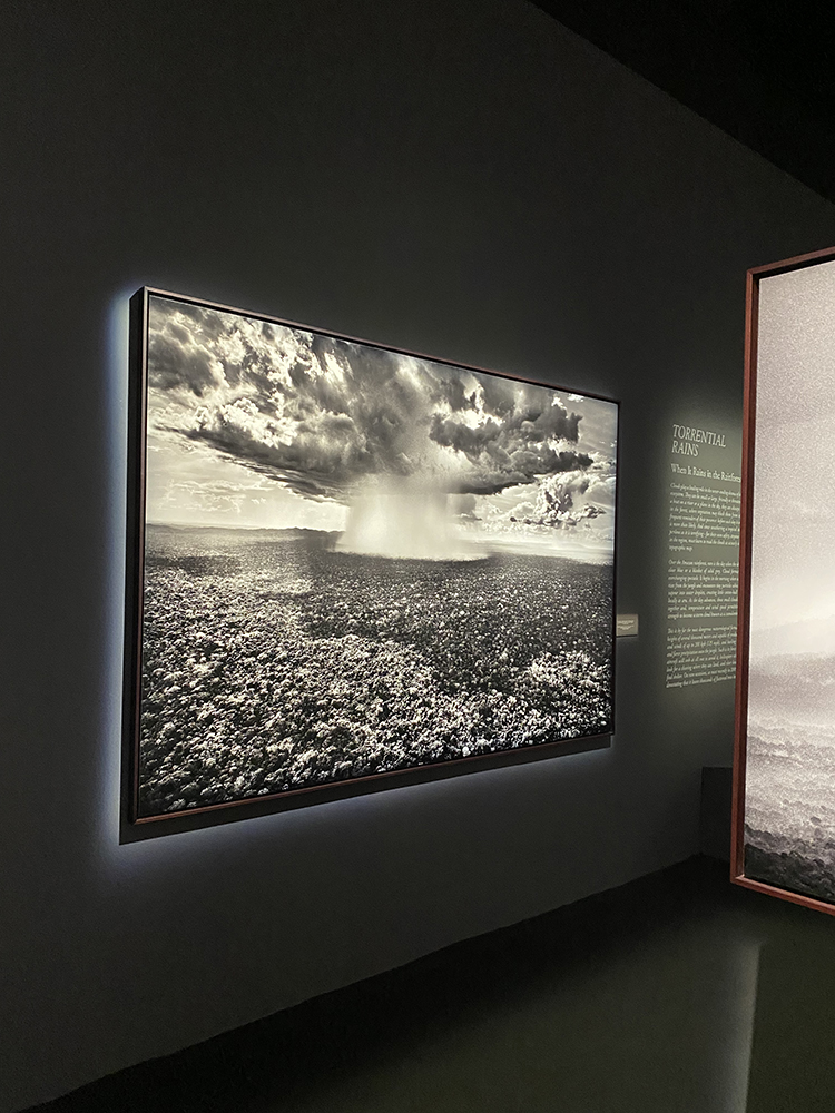 Изложбатаа Амазония на Себастиао Салгадо