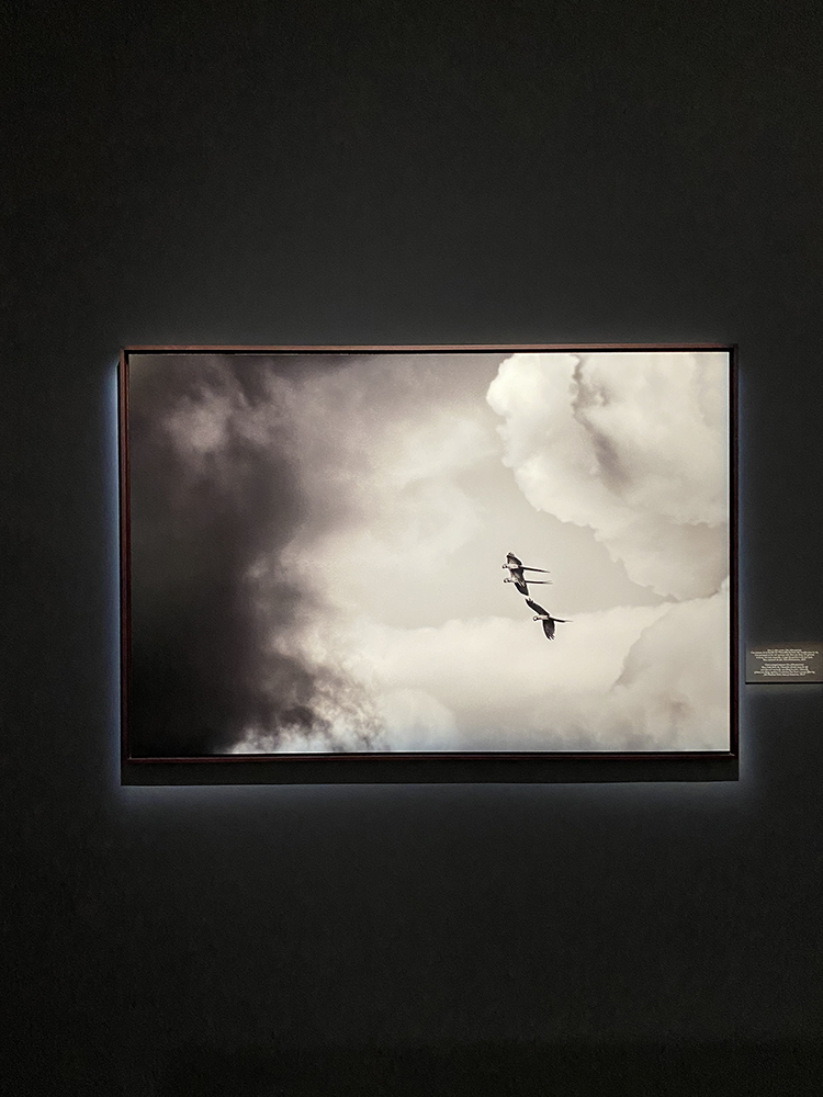 Изложбатаа Амазония на Себастиао Салгадо